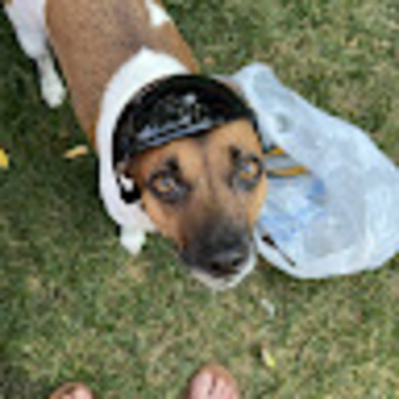 Meet your Posher, Jen - Picture 1 of 1